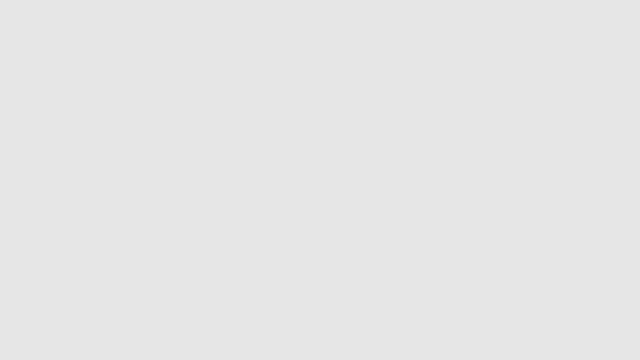 Grey Slender Loris S1EP4